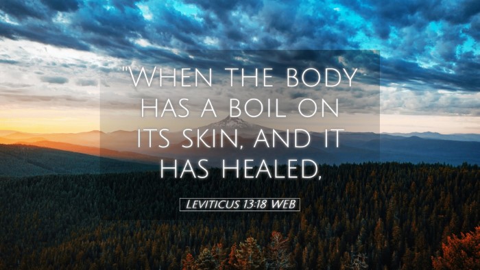 Picture 05 - Leviticus 13:18 WEB Desktop Wallpaper - 