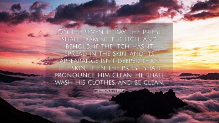 Picture 05 - Leviticus 13:34 WEB Desktop Wallpaper - On the seventh day, the priest shall examine the - Desktop Bible Verse Wallpaper