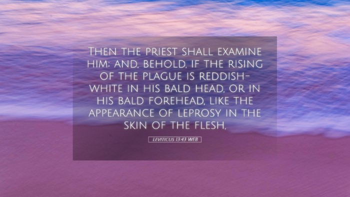Picture 05 - Leviticus 13:43 WEB Desktop Wallpaper - Then the priest shall examine him; and, behold, - Desktop Bible Verse Wallpaper
