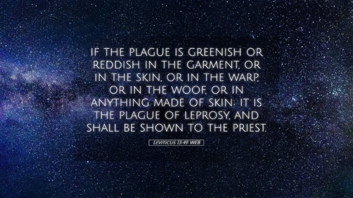 Picture 05 - Leviticus 13:49 WEB Desktop Wallpaper - if the plague is greenish or reddish in the - Desktop Bible Verse Wallpaper