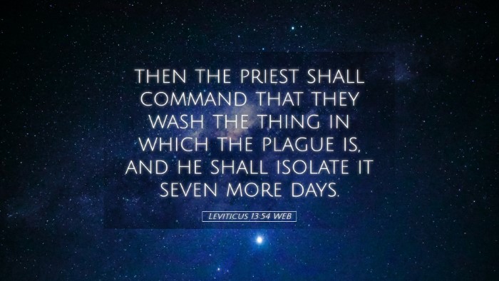 Picture 05 - Leviticus 13:54 WEB Desktop Wallpaper - then the priest shall command that they wash the - Desktop Bible Verse Wallpaper