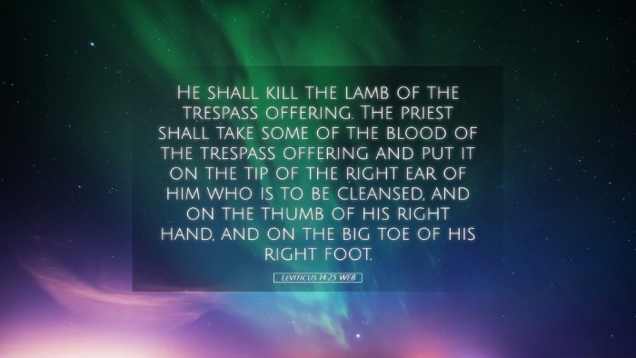 Picture 05 - Leviticus 14:25 WEB Desktop Wallpaper - He shall kill the lamb of the trespass offering. - Desktop Bible Verse Wallpaper