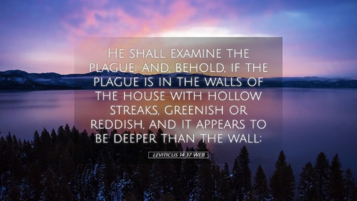 Picture 05 - Leviticus 14:37 WEB Desktop Wallpaper - He shall examine the plague; and, behold, if the - Desktop Bible Verse Wallpaper
