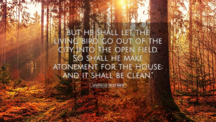 Picture 05 - Leviticus 14:53 WEB Desktop Wallpaper - but he shall let the living bird go out of the - Desktop Bible Verse Wallpaper