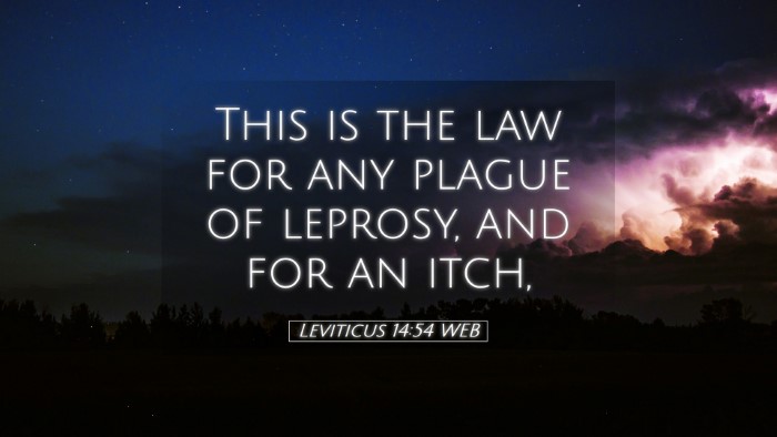Picture 05 - Leviticus 14:54 WEB Desktop Wallpaper - This is the law for any plague of leprosy, and - Desktop Bible Verse Wallpaper