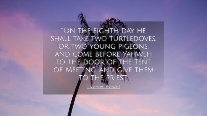 Picture 05 - Leviticus 15:14 WEB Desktop Wallpaper - 