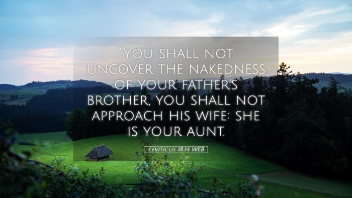 Picture 05 - Leviticus 18:14 WEB Desktop Wallpaper - 
