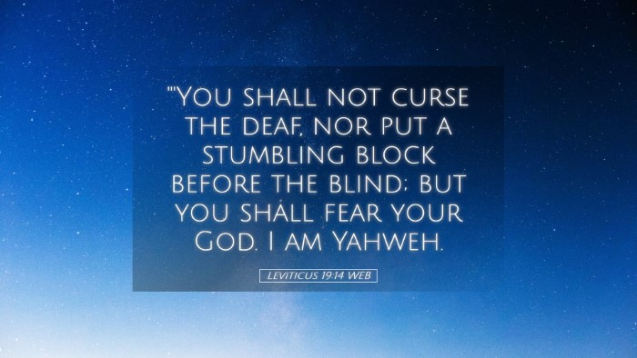 Picture 05 - Leviticus 19:14 WEB Desktop Wallpaper - 