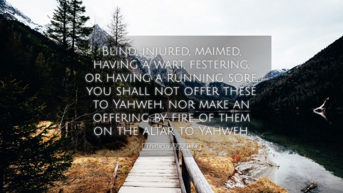 Picture 05 - Leviticus 22:22 WEB Desktop Wallpaper - Blind, injured, maimed, having a wart, festering, - Desktop Bible Verse Wallpaper