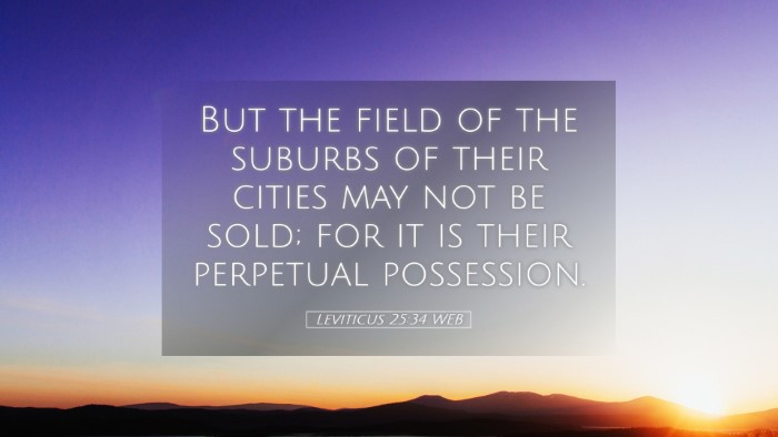 Picture 05 - Leviticus 25:34 WEB Desktop Wallpaper - But the field of the suburbs of their cities may - Desktop Bible Verse Wallpaper
