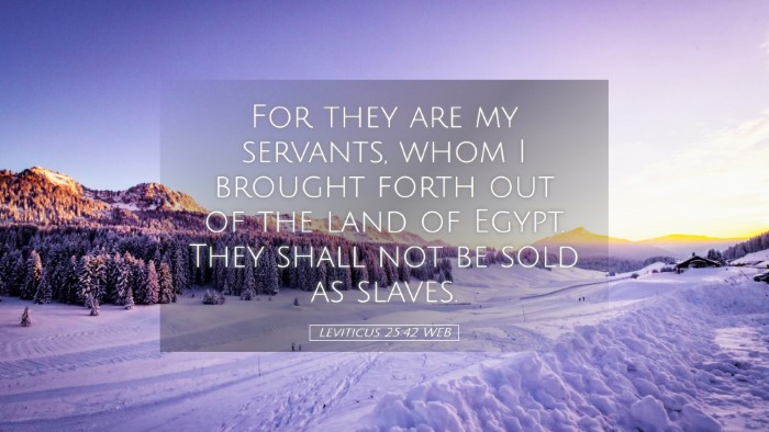 Picture 05 - Leviticus 25:42 WEB Desktop Wallpaper - For they are my servants, whom I brought forth - Desktop Bible Verse Wallpaper