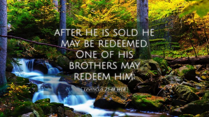Picture 05 - Leviticus 25:48 WEB Desktop Wallpaper - after he is sold he may be redeemed. One of his - Desktop Bible Verse Wallpaper
