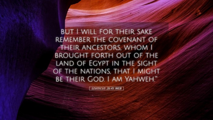 Picture 05 - Leviticus 26:45 WEB Desktop Wallpaper - but I will for their sake remember the covenant - Desktop Bible Verse Wallpaper