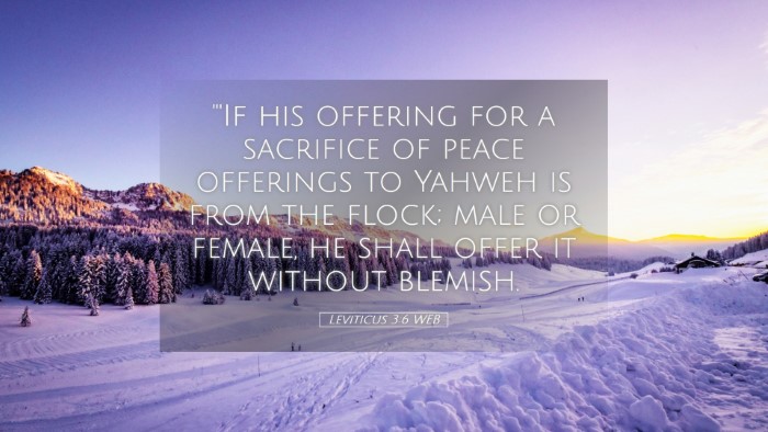 Picture 05 - Leviticus 3:6 WEB Desktop Wallpaper - 