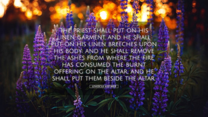 Picture 05 - Leviticus 6:10 WEB Desktop Wallpaper - The priest shall put on his linen garment, and he - Desktop Bible Verse Wallpaper