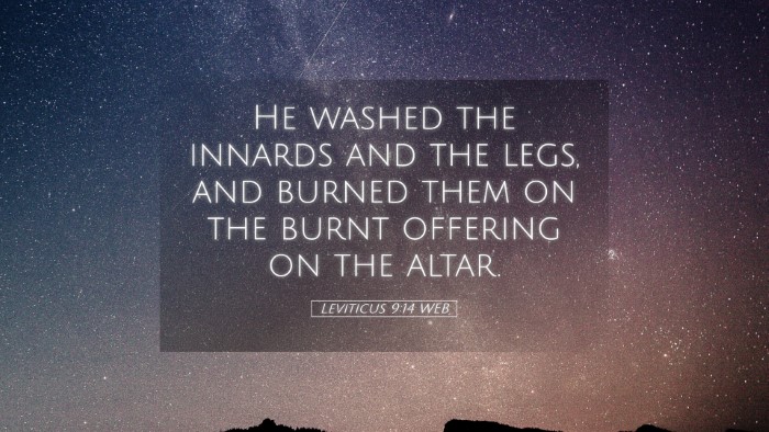 Picture 05 - Leviticus 9:14 WEB Desktop Wallpaper - He washed the innards and the legs, and burned - Desktop Bible Verse Wallpaper