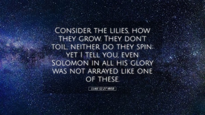 Picture 05 - Luke 12:27 WEB Desktop Wallpaper - Consider the lilies, how they grow. They don't - Desktop Bible Verse Wallpaper