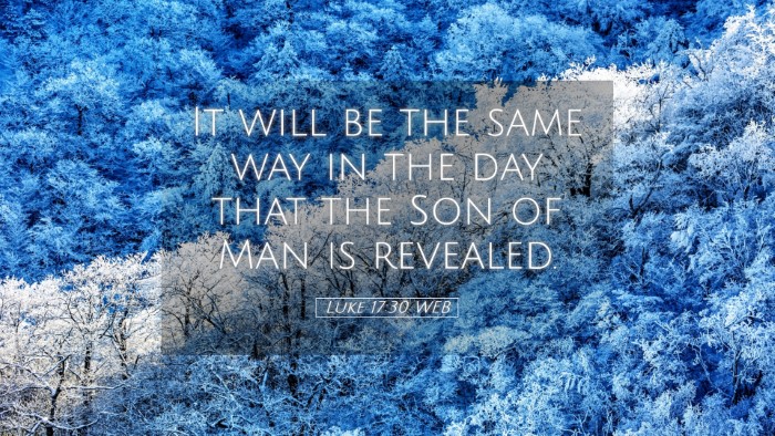 Picture 05 - Luke 17:30 WEB Desktop Wallpaper - It will be the same way in the day that the Son - Desktop Bible Verse Wallpaper