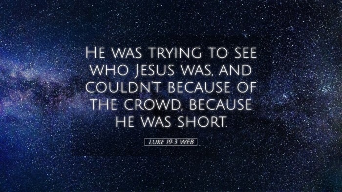 Picture 05 - Luke 19:3 WEB Desktop Wallpaper - He was trying to see who Jesus was, and couldn't - Desktop Bible Verse Wallpaper