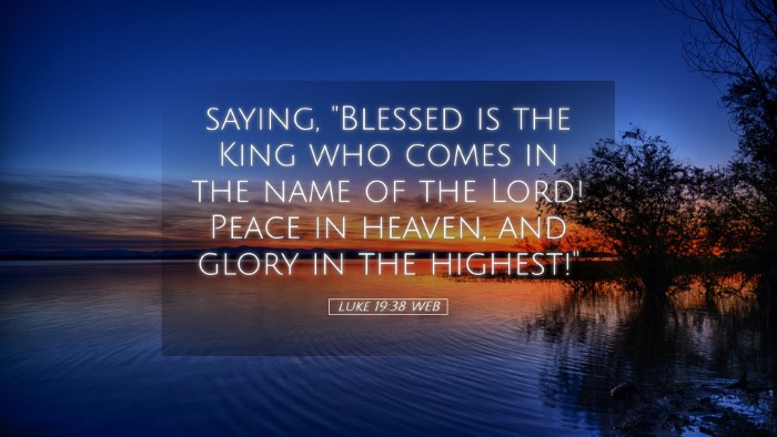 Picture 05 - Luke 19:38 WEB Desktop Wallpaper - saying, 