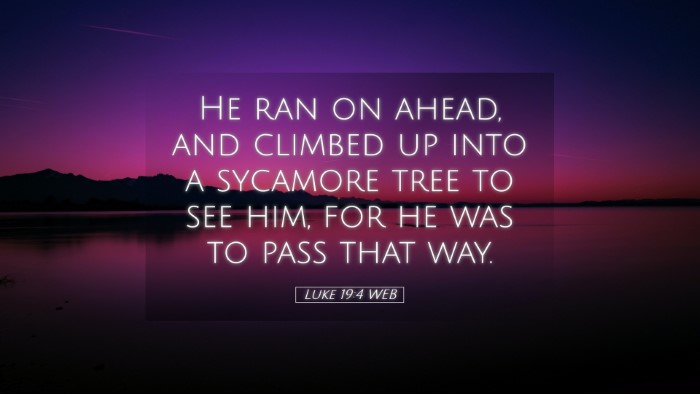 Picture 05 - Luke 19:4 WEB Desktop Wallpaper - He ran on ahead, and climbed up into a sycamore - Desktop Bible Verse Wallpaper