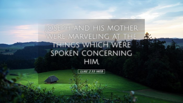 Picture 05 - Luke 2:33 WEB Desktop Wallpaper - Joseph and his mother were marveling at the - Desktop Bible Verse Wallpaper