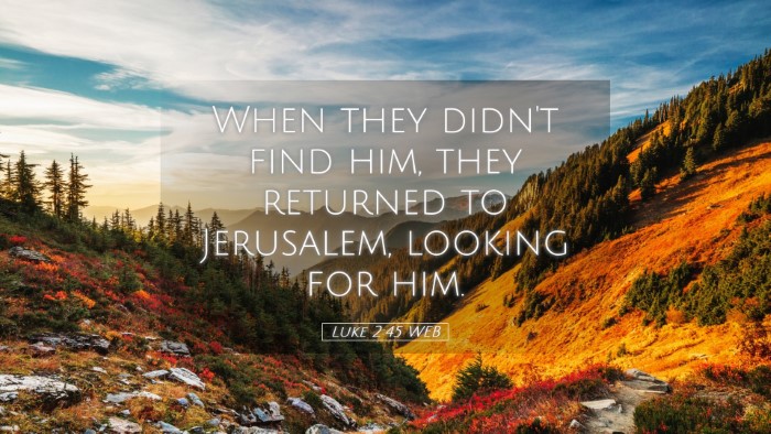 Picture 05 - Luke 2:45 WEB Desktop Wallpaper - When they didn't find him, they returned to - Desktop Bible Verse Wallpaper