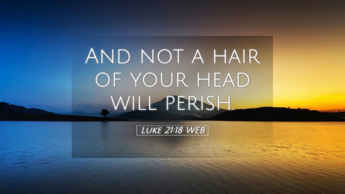 Picture 05 - Luke 21:18 WEB Desktop Wallpaper - And not a hair of your head will - Desktop Bible Verse Wallpaper