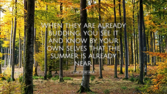 Picture 05 - Luke 21:30 WEB Desktop Wallpaper - When they are already budding, you see it and - Desktop Bible Verse Wallpaper