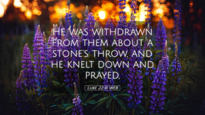 Picture 05 - Luke 22:41 WEB Desktop Wallpaper - He was withdrawn from them about a stone's throw, - Desktop Bible Verse Wallpaper