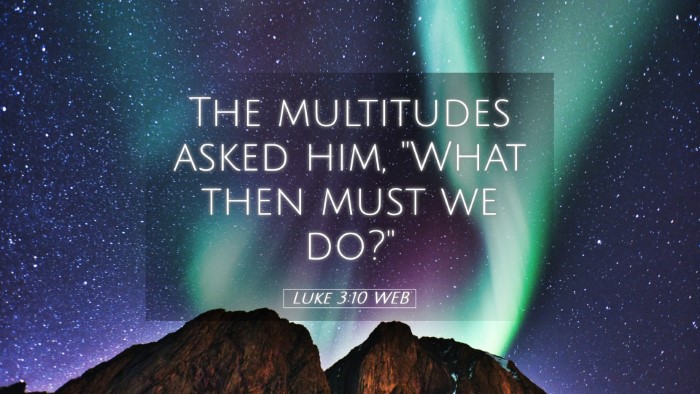 Picture 05 - Luke 3:10 WEB Desktop Wallpaper - The multitudes asked him, 