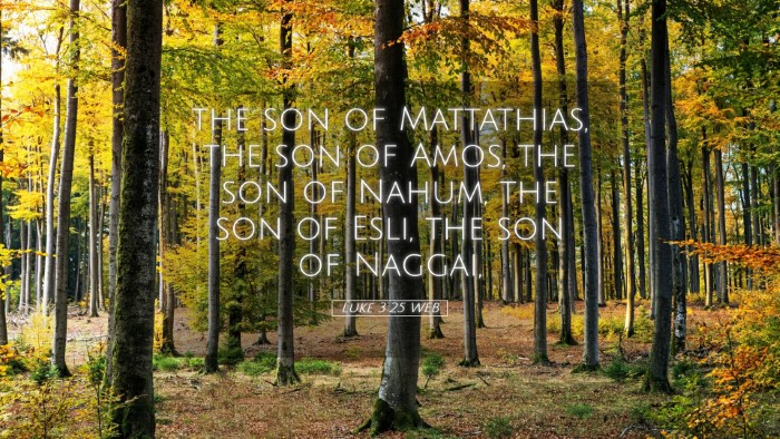Picture 05 - Luke 3:25 WEB Desktop Wallpaper - the son of Mattathias, the son of Amos, the son - Desktop Bible Verse Wallpaper