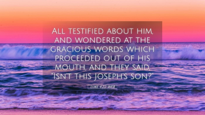 Picture 05 - Luke 4:22 WEB Desktop Wallpaper - All testified about him, and wondered at the - Desktop Bible Verse Wallpaper