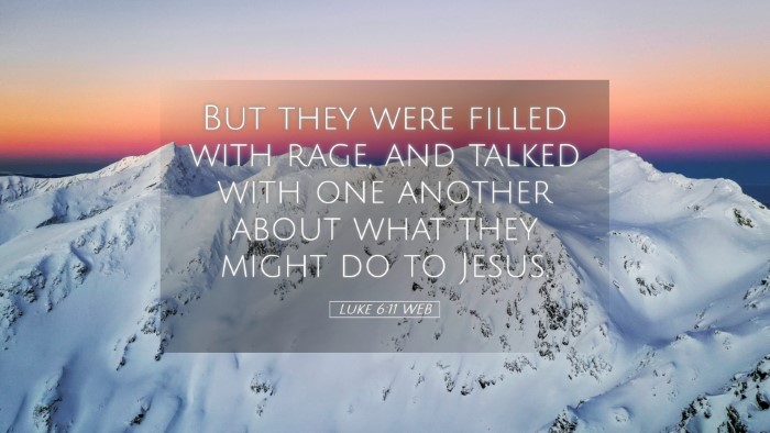 Picture 05 - Luke 6:11 WEB Desktop Wallpaper - But they were filled with rage, and talked with - Desktop Bible Verse Wallpaper