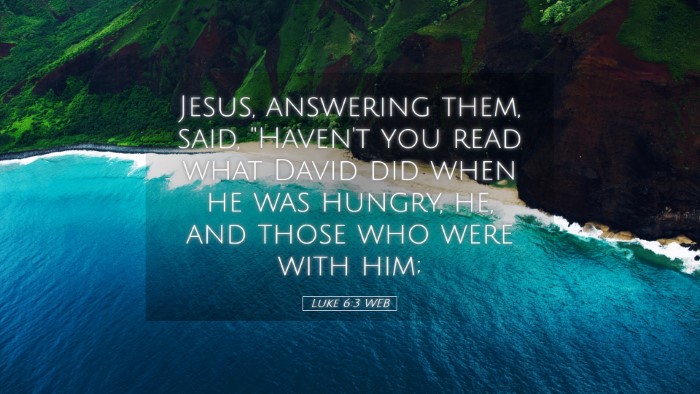 Picture 05 - Luke 6:3 WEB Desktop Wallpaper - Jesus, answering them, said, 
