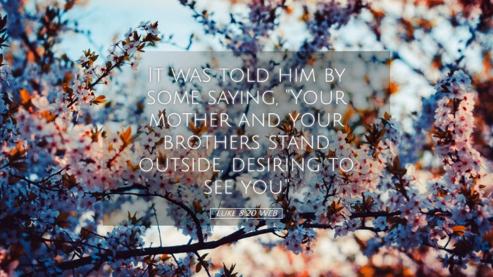 Picture 05 - Luke 8:20 WEB Desktop Wallpaper - It was told him by some saying, 