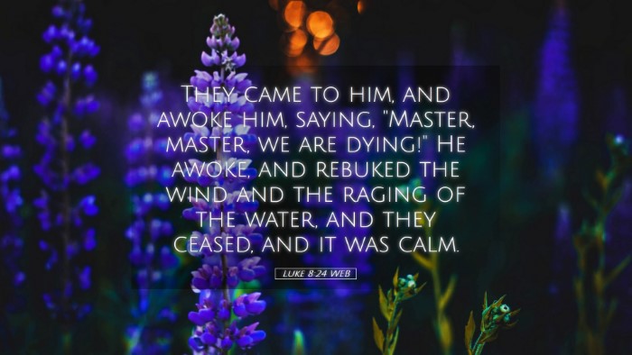 Picture 05 - Luke 8:24 WEB Desktop Wallpaper - They came to him, and awoke him, saying, 