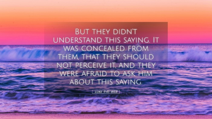 Picture 05 - Luke 9:45 WEB Desktop Wallpaper - But they didn't understand this saying. It was - Desktop Bible Verse Wallpaper