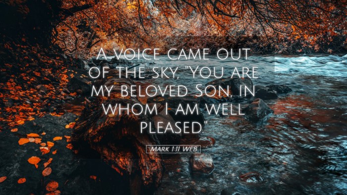 Picture 05 - Mark 1:11 WEB Desktop Wallpaper - A voice came out of the sky, 