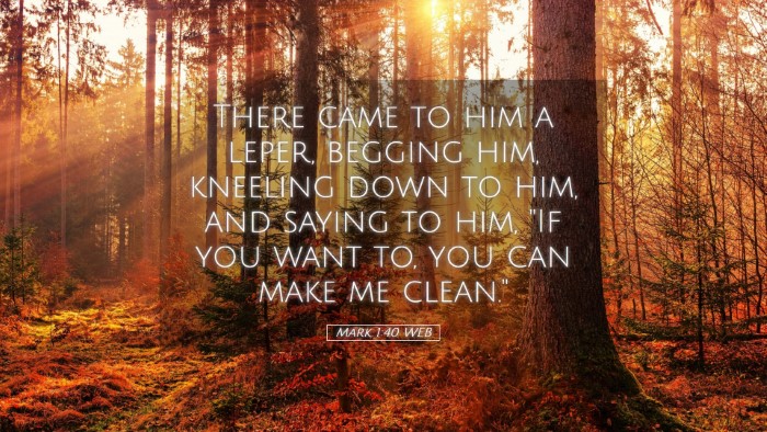 Picture 05 - Mark 1:40 WEB Desktop Wallpaper - There came to him a leper, begging him, kneeling - Desktop Bible Verse Wallpaper