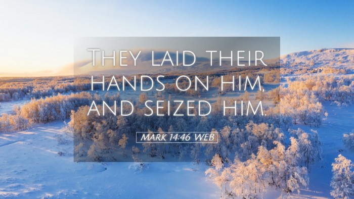 Picture 05 - Mark 14:46 WEB Desktop Wallpaper - They laid their hands on him, and seized - Desktop Bible Verse Wallpaper