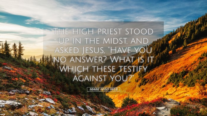Picture 05 - Mark 14:60 WEB Desktop Wallpaper - The high priest stood up in the midst, and asked - Desktop Bible Verse Wallpaper