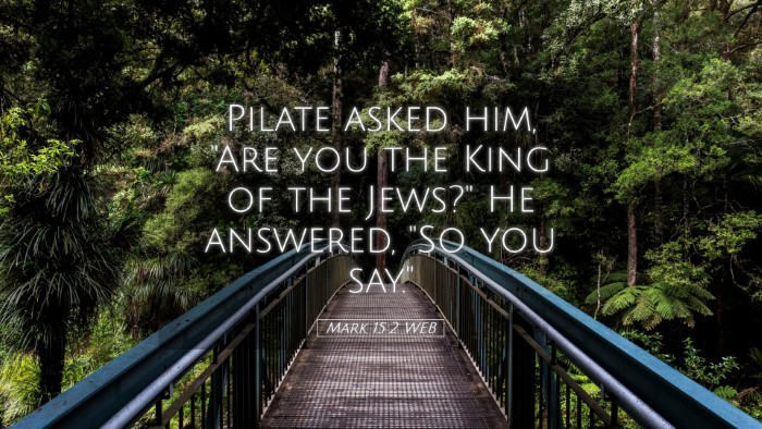 Picture 05 - Mark 15:2 WEB Desktop Wallpaper - Pilate asked him, 