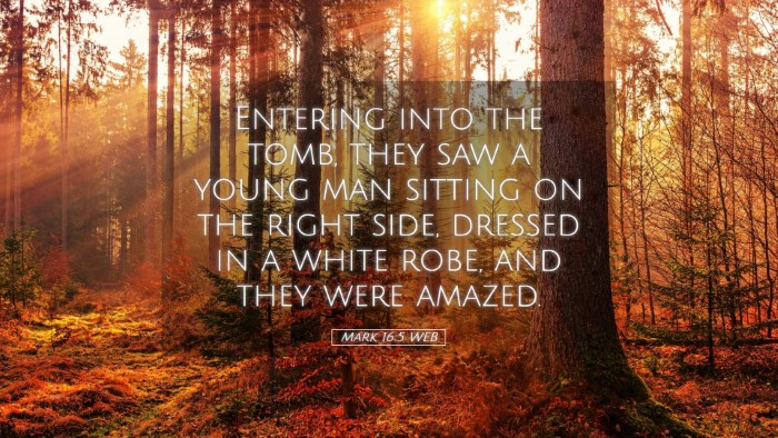 Picture 05 - Mark 16:5 WEB Desktop Wallpaper - Entering into the tomb, they saw a young man - Desktop Bible Verse Wallpaper