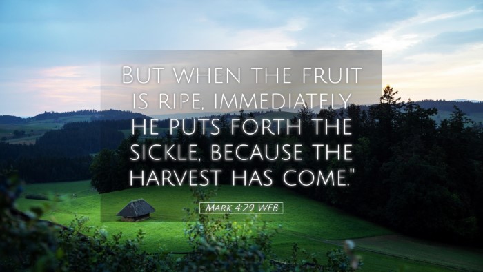 Picture 05 - Mark 4:29 WEB Desktop Wallpaper - But when the fruit is ripe, immediately he puts - Desktop Bible Verse Wallpaper