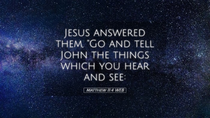 Picture 05 - Matthew 11:4 WEB Desktop Wallpaper - Jesus answered them, 