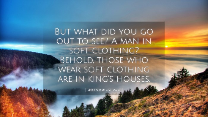Picture 05 - Matthew 11:8 WEB Desktop Wallpaper - But what did you go out to see? A man in soft - Desktop Bible Verse Wallpaper