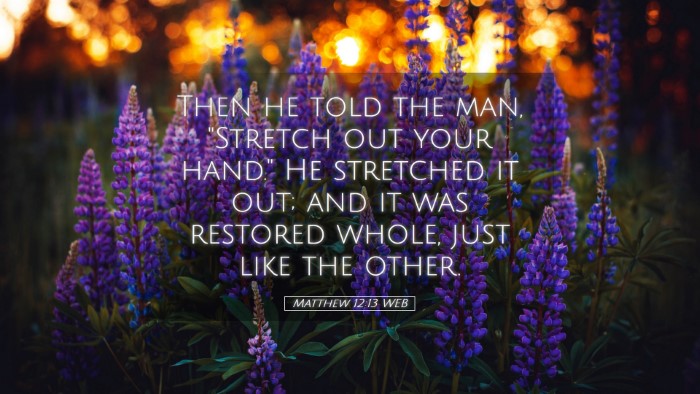 Picture 05 - Matthew 12:13 WEB Desktop Wallpaper - Then he told the man, 