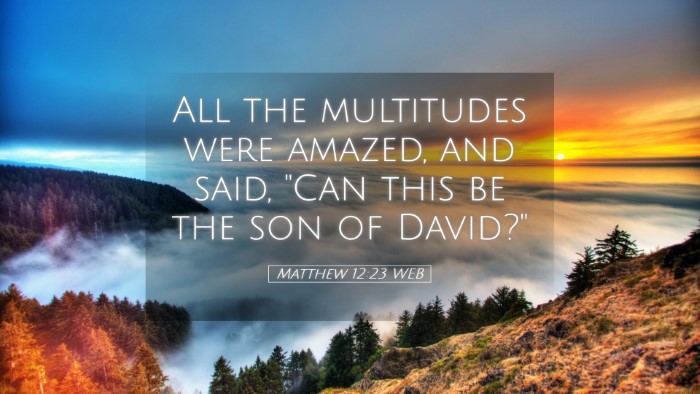 Picture 05 - Matthew 12:23 WEB Desktop Wallpaper - All the multitudes were amazed, and said, 