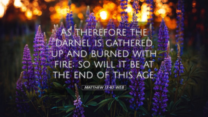 Picture 05 - Matthew 13:40 WEB Desktop Wallpaper - As therefore the darnel is gathered up and burned - Desktop Bible Verse Wallpaper